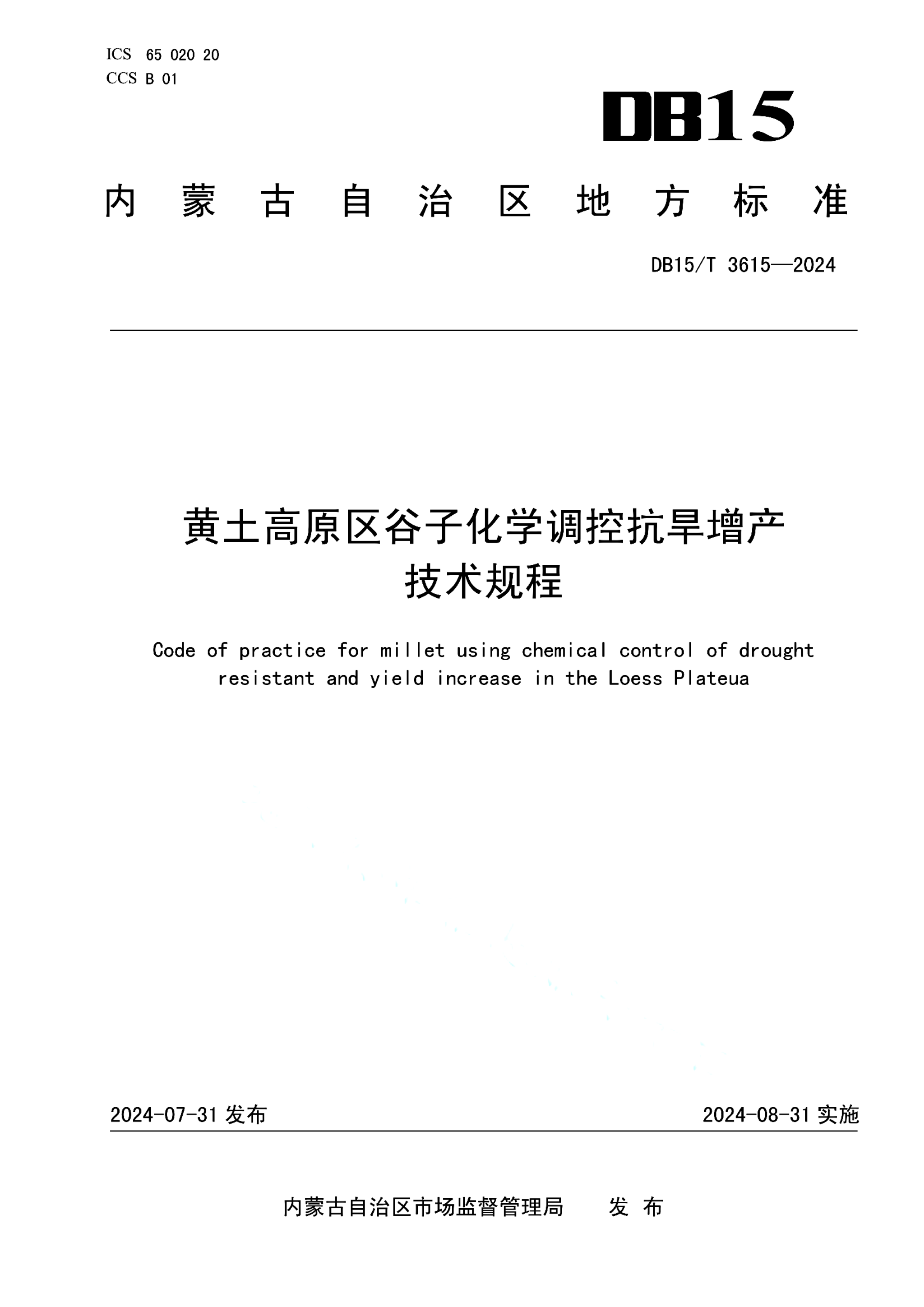 资源详情图